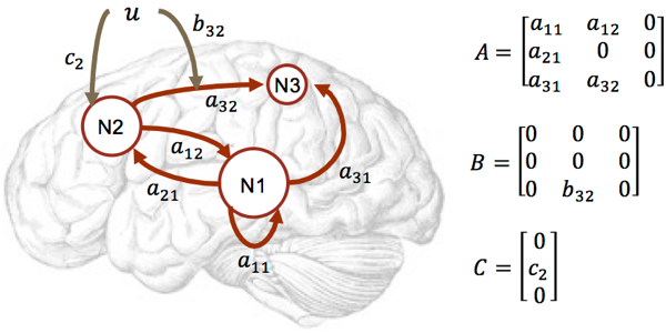 causal architecture in the brain